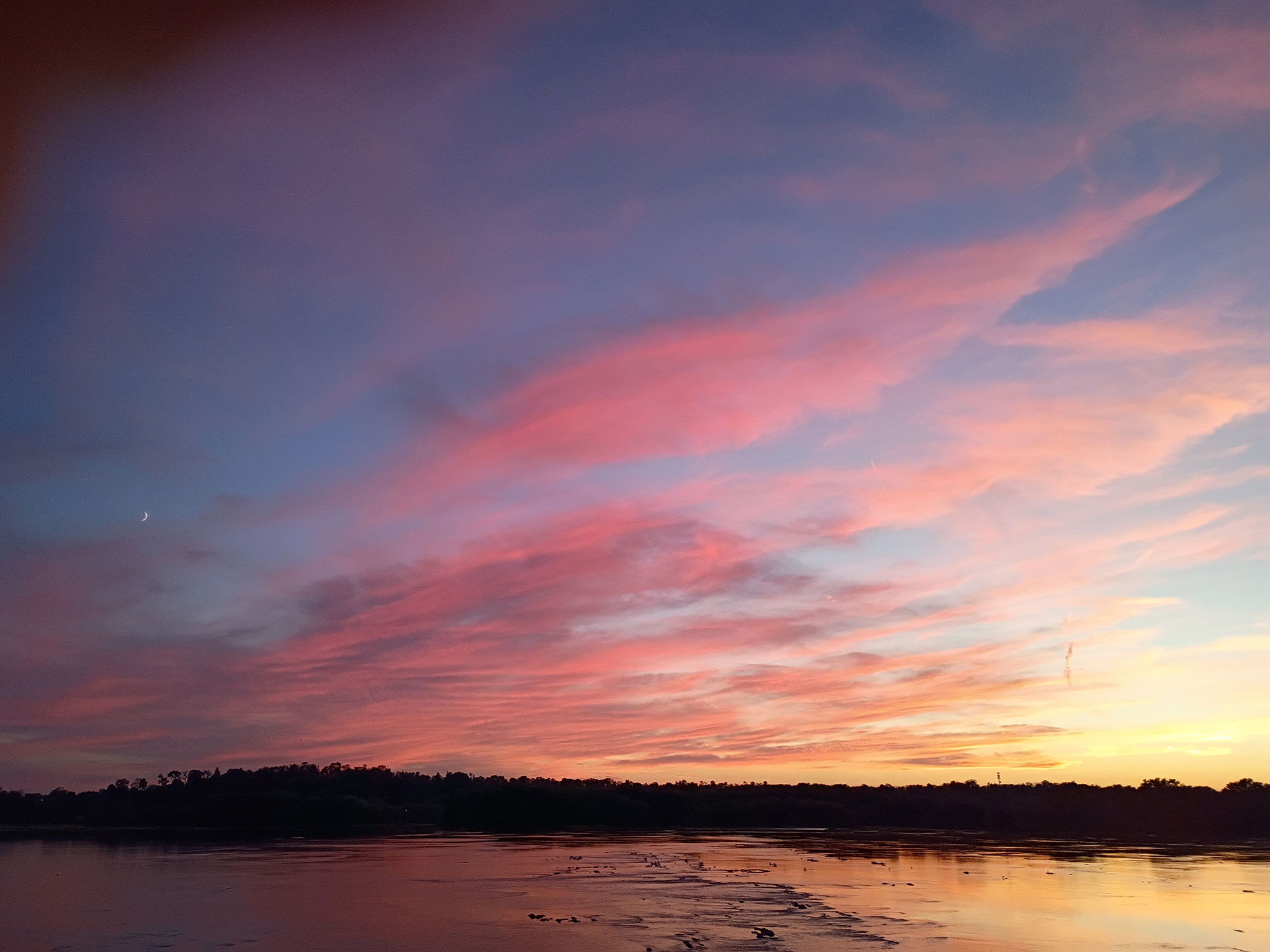 I-Will-Be-the-future